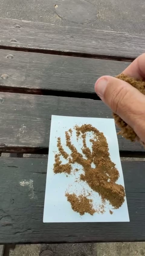 Meat and bone meal