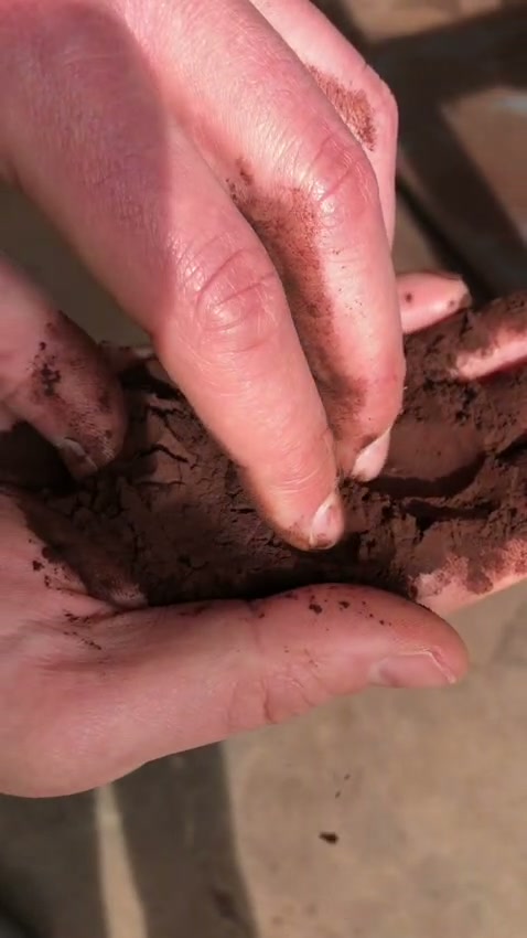 Blood meal